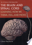 The Brain and Spinal Cord