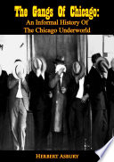 The Gangs Of Chicago Book