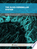 The olivo-cerebellar system