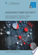 Assessing Cyber Security