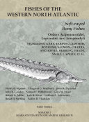 Soft-rayed Bony Fishes: Orders Acipenseroidei, Lepisostei, and Isospondyli