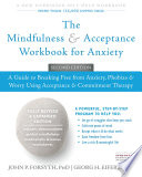 The Mindfulness and Acceptance Workbook for Anxiety Book