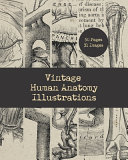 Vintage Human Anatomy Illustrations