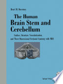 The Human Brain Stem and Cerebellum