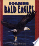 Soaring Bald Eagles