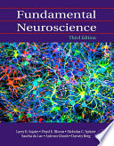 “Fundamental Neuroscience” by Larry Squire, Floyd E. Bloom, Nicholas C. Spitzer, Larry R. Squire, Darwin Berg, Sascha du Lac, Anirvan Ghosh