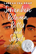 Somewhere Between Bitter and Sweet Book