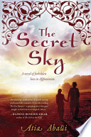 The Secret Sky Book