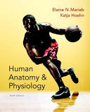 Human Anatomy and Physiology  Books a la Carte Edition