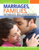 Marriages  Families  and Intimate Relationships Book