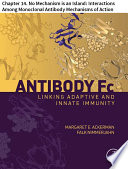 Antibody Fc