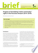 Progress in formalizing  native community  rights in the Peruvian Amazon  2014 2018 