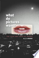 What Do Pictures Want 