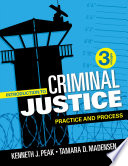 Introduction to Criminal Justice Book