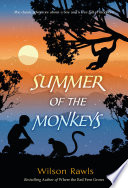 Summer of the Monkeys image