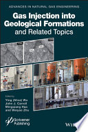 Gas Injection into Geological Formations and Related Topics