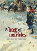 A Bag of Marbles Pdf/ePub eBook
