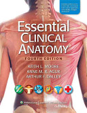 摩尔基本临床解剖学第四版摩尔临床解剖学综述