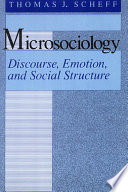 Microsociology Book