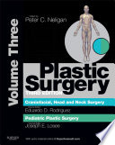 Plastic Surgery E Book Book
