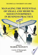 Managing The Potential Of Small And Medium Sized Enterprises In Business Practice