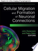 Comprehensive Developmental Neuroscience  Cellular Migration and Formation of Neuronal Connections Book