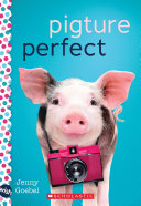 Read Pdf Pigture Perfect: A Wish Novel