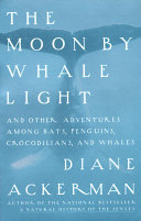 Moon By Whale Light