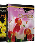 Micropropagation of Orchids