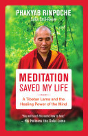 Meditation Saved My Life
