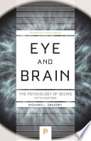 Eye And Brain