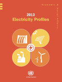 2013 Electricity Profiles