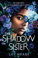 The Shadow Sister image