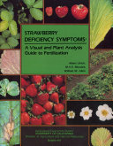 Strawberry Deficiency Symptoms: A Visual and Plant Analysis Guide to Fertilization