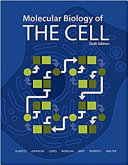 Samenvatting Molecular Biology of the Cell Deel Eén-  Moleculair biology of the cell (BMW33416)