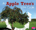 An Apple Tree s Life Cycle
