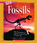 Fossils (A True Book: Earth Science) [Pdf/ePub] eBook