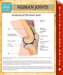 Human Joints