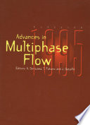 Multiphase Flow 1995 Book