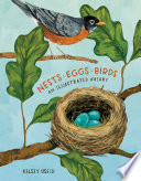 Nests  Eggs  Birds Book