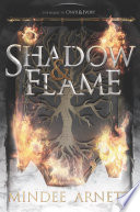 Shadow   Flame Book