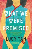 What We Were Promised Book