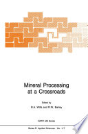 Mineral Processing at a Crossroads Book