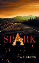 Spark Book