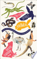 How to Find Your Spirit Animal Book