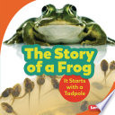 The Story of a Frog