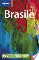 Guida Turistica Brasile Immagine Copertina