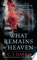 What Remains of Heaven Book