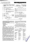 United States Plant Patents Book