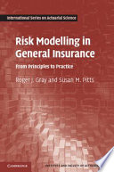 Risk Modelling in General Insurance Book